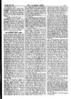 Alliance News Thursday 15 November 1900 Page 11