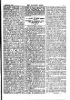 Alliance News Thursday 22 November 1900 Page 11