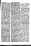 Alliance News Thursday 06 December 1900 Page 13