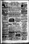 Alliance News Thursday 06 December 1900 Page 27