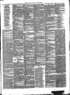 Gorey Correspondent Saturday 17 June 1876 Page 3