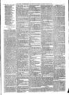 Gorey Correspondent Saturday 17 March 1877 Page 3