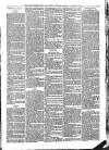 Gorey Correspondent Saturday 22 January 1881 Page 3
