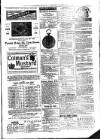 Gorey Correspondent Saturday 11 March 1882 Page 5
