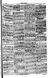 Seren Cymru Friday 07 May 1875 Page 5