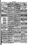 Seren Cymru Friday 11 June 1875 Page 5