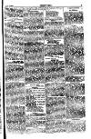 Seren Cymru Friday 06 August 1875 Page 5