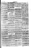 Seren Cymru Friday 12 November 1875 Page 3