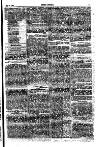 Seren Cymru Friday 04 May 1877 Page 3