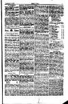 Seren Cymru Friday 12 July 1878 Page 5