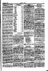 Seren Cymru Friday 18 October 1878 Page 3