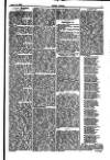 Seren Cymru Friday 31 January 1879 Page 7