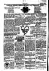 Seren Cymru Friday 31 January 1879 Page 8