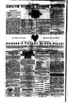 Seren Cymru Friday 11 July 1879 Page 8