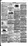 Seren Cymru Friday 20 October 1882 Page 7