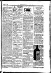 Seren Cymru Friday 18 January 1884 Page 7