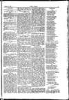 Seren Cymru Friday 25 January 1884 Page 3