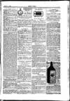 Seren Cymru Friday 25 January 1884 Page 7