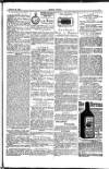 Seren Cymru Friday 08 February 1884 Page 7