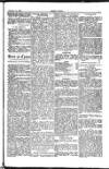 Seren Cymru Friday 22 February 1884 Page 5