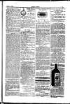 Seren Cymru Friday 04 April 1884 Page 7