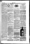 Seren Cymru Friday 18 April 1884 Page 7