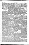 Seren Cymru Friday 25 April 1884 Page 5