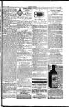 Seren Cymru Friday 23 May 1884 Page 7