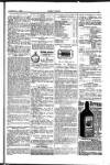 Seren Cymru Friday 04 July 1884 Page 7