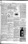 Seren Cymru Friday 22 August 1884 Page 7