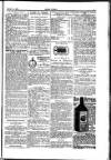 Seren Cymru Friday 17 October 1884 Page 7