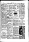 Seren Cymru Friday 24 October 1884 Page 7