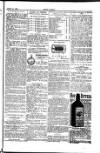 Seren Cymru Friday 31 October 1884 Page 7