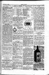 Seren Cymru Friday 21 November 1884 Page 7