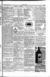 Seren Cymru Friday 28 November 1884 Page 7