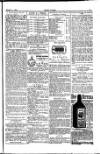 Seren Cymru Friday 05 December 1884 Page 7