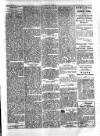 Seren Cymru Friday 29 March 1889 Page 3