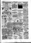 Seren Cymru Friday 23 August 1889 Page 7