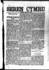 Seren Cymru Friday 29 January 1892 Page 3