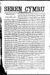 Seren Cymru Friday 04 March 1892 Page 3
