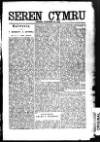 Seren Cymru Friday 25 November 1892 Page 3