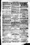 Seren Cymru Friday 21 July 1893 Page 13