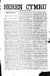 Seren Cymru Friday 04 August 1893 Page 3