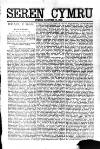 Seren Cymru Friday 10 November 1893 Page 3