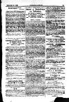Seren Cymru Friday 10 November 1893 Page 13