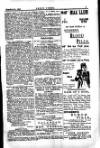 Seren Cymru Friday 15 February 1895 Page 5