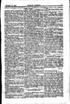 Seren Cymru Friday 15 February 1895 Page 7