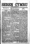 Seren Cymru Friday 08 March 1895 Page 3