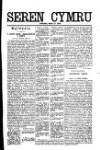 Seren Cymru Friday 27 September 1895 Page 3