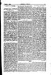 Seren Cymru Friday 04 October 1895 Page 11